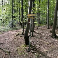 .. bis zu diesem Wegkreuz -- hier scharf links die 'Route 3' nehmen (gelbe Markierungen)