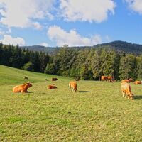 Blick von der Talwiese Richtung Teufelsmühle