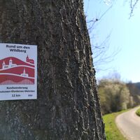 Rund um den Wildberg
