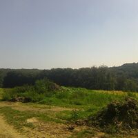 Exelberg