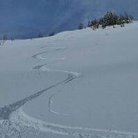 Zurück zur Lipanski Alm.
