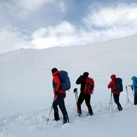 Spurenanalyse am Gipfelhang des Spieleckkogels.