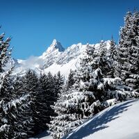 Winterlandschaft Bartholomäberg