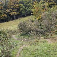 Wanderung: Bachquerung (kotige Stelle)