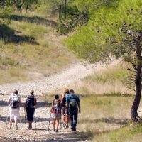 Wanderer unter den Kiefern_CDRP34