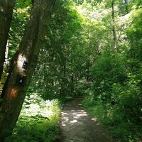 Wanderwege schlängeln sich über verwunschene Pfade