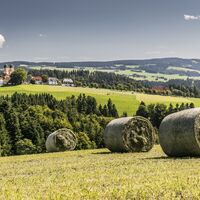 Ortsansicht St Märgen