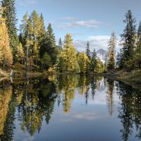 Waldsee im Herbst