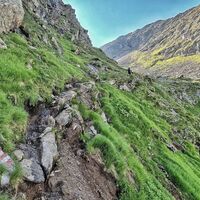 Auf den Greifenberg führt ein schmaler Pfad