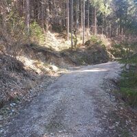 Tipp von mir: hier gerade weiter gehen