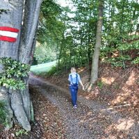Der Weg ist gut markiert