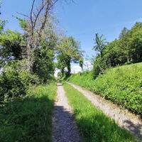 Aufstieg von Gutenburg Richtung Alpenblickhütte