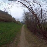 25.5 km Single bei Zellhof