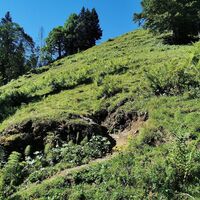 Weg auf den Hittisberg