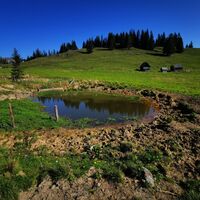 Auf der Weißalm
