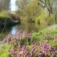Oker