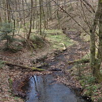 Kobersdorf - Landsee - Kirchschlag