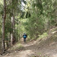 Trail nach Knobelsdorf