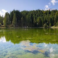 Hofladenrunde Leutasch - Weidachsee mit Wald im Hintergrund.jpg