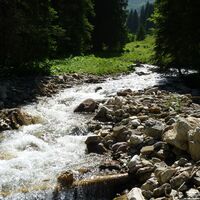 Kohlschlagerbach