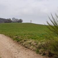 Am Sattel der Straße zwischen Unterabtsteinach und Trösel