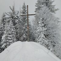 Gipfelkreuz Hochälpelekopf 1463 m