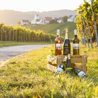 Weinflaschen Weingut Ott