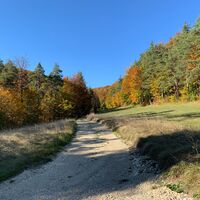 Feldweg Hemmental