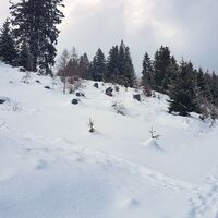 Hier links über Schlag hinauf