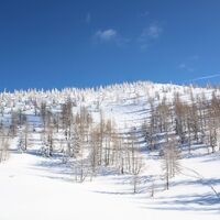 erster Große Pulverschneehang vor der Einfahrt in die Rinne