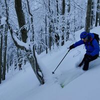 Die zweite Hälfte der Abfahrt fahren wir zwischen den Bäumen. Auf der Nordseite freuen wir uns oft über den Pulverschnee.