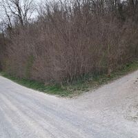 Weggabelung Zugang zum "Baxa Steinbruch"