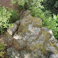 Abstieg vom Leckerriegel (nur für Geübte)