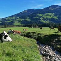 Straubing @ Wildschönau Tourismus 