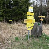 am Weg bei der Turnerwiese