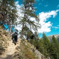 Wandern in den schützenden Wald