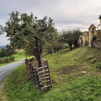 Weingarten Schloss Kirchberg, Hartbergland in der Oststeiermark