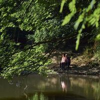 Rast am Weidelbacher Weiher