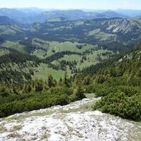 Blick in das Nassköhr
