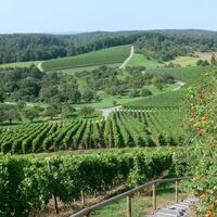 Streuobst Sternenfels (Aussicht Augenberg)