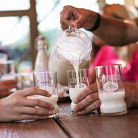 Ein frisches Glas Milch als Stärkung...