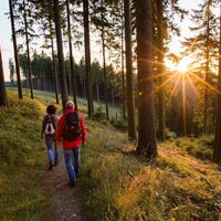 Ankommen bei den Rothaarsteig Qualitätsgastgebern