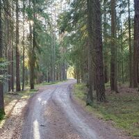 5.2 km Wald beim Kreuzberg