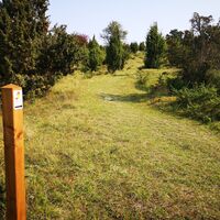 Wacholderheide Ostheimer Hute