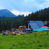Niederalpl - Hohe Veitsch - Seewiesen