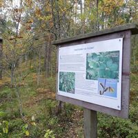 Ukonmäen Naturlehrpfad