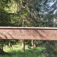 Eingang zum Moorpfad