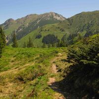 Fieberbrunner Höhenweg 3