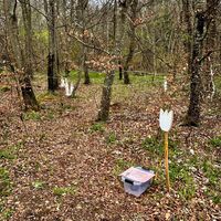 Salmendinger Osterweg