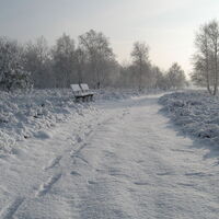 Winter am Suhorn